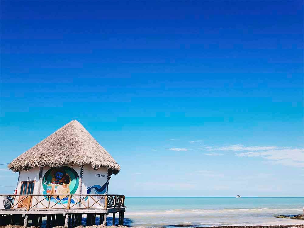 Holbox Day Tour Experience 